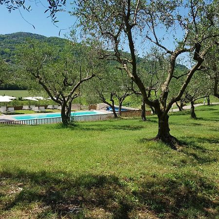 Il Vecchio Gelso - Agriturismo Rimini Montefiore Conca Villa Ngoại thất bức ảnh