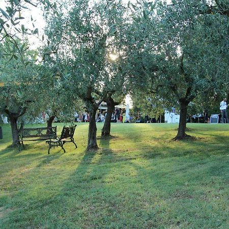 Il Vecchio Gelso - Agriturismo Rimini Montefiore Conca Villa Ngoại thất bức ảnh