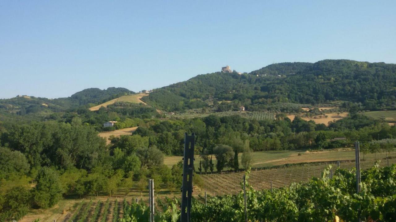 Il Vecchio Gelso - Agriturismo Rimini Montefiore Conca Villa Ngoại thất bức ảnh