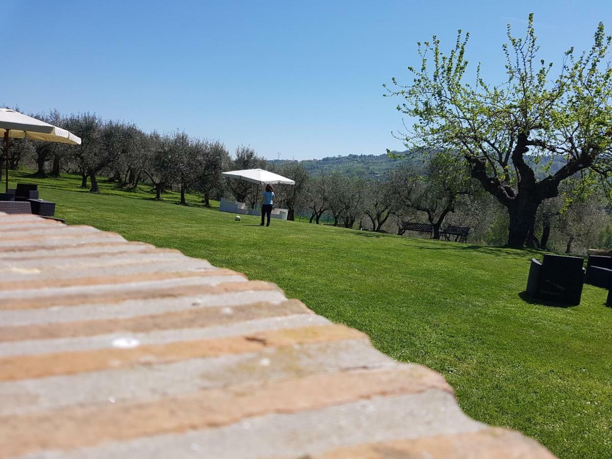 Il Vecchio Gelso - Agriturismo Rimini Montefiore Conca Villa Ngoại thất bức ảnh