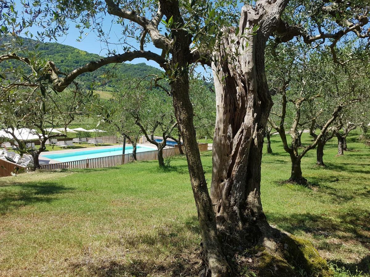 Il Vecchio Gelso - Agriturismo Rimini Montefiore Conca Villa Ngoại thất bức ảnh