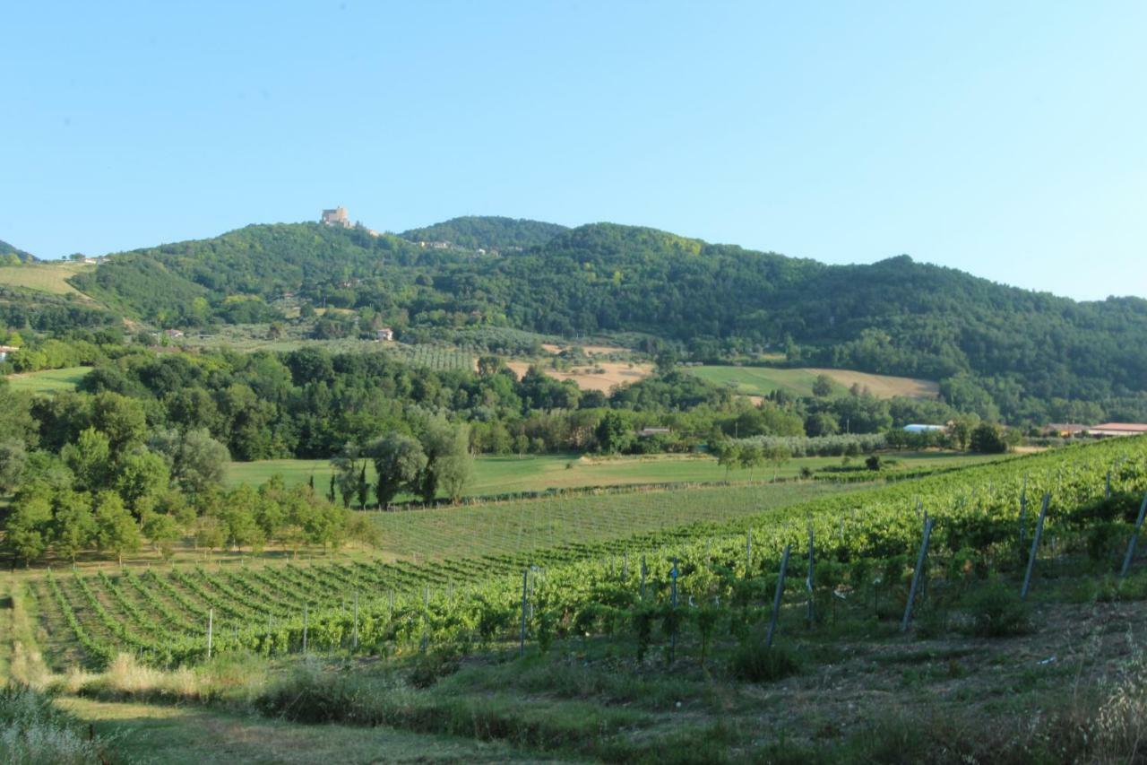 Il Vecchio Gelso - Agriturismo Rimini Montefiore Conca Villa Ngoại thất bức ảnh