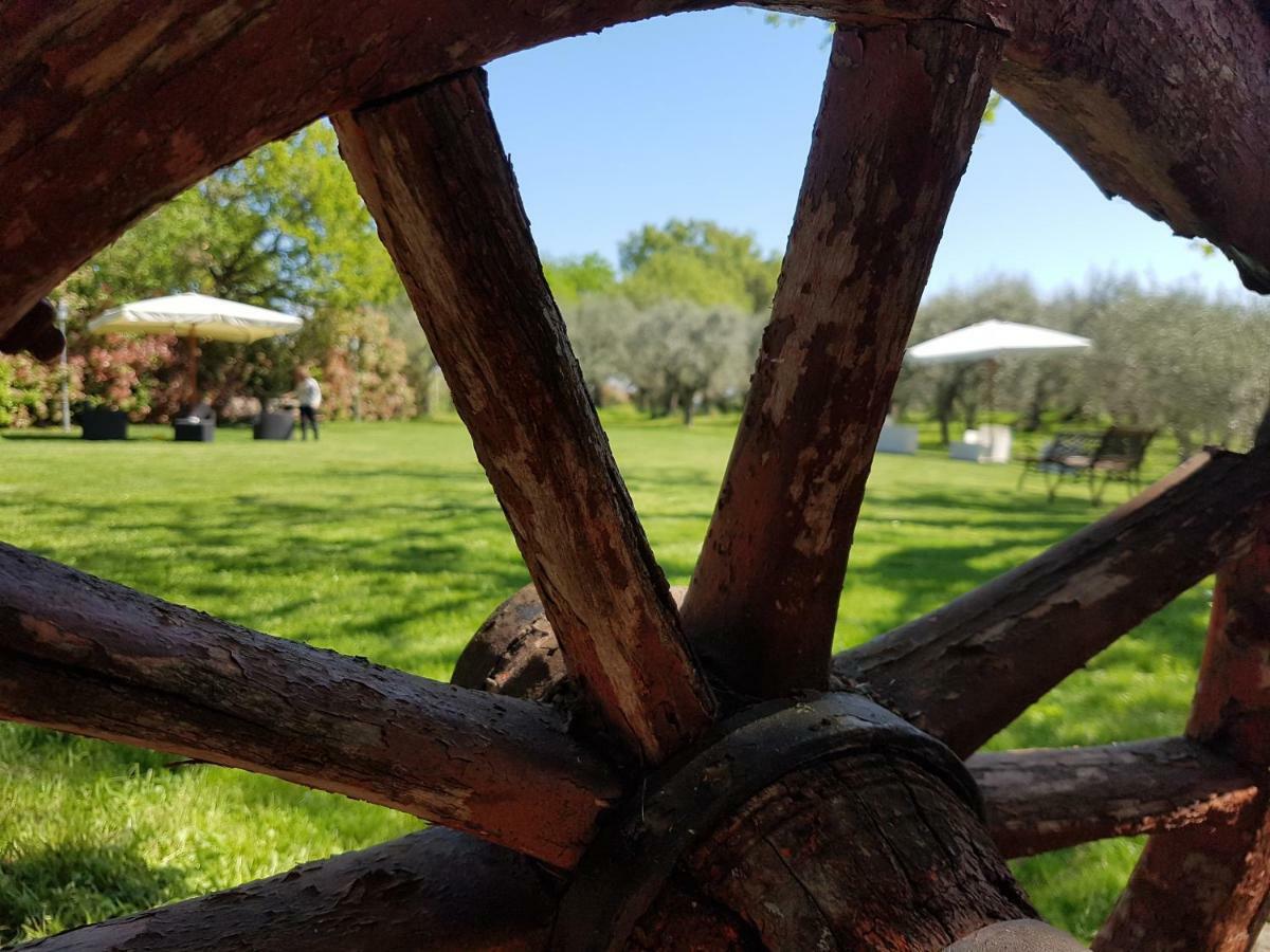 Il Vecchio Gelso - Agriturismo Rimini Montefiore Conca Villa Ngoại thất bức ảnh