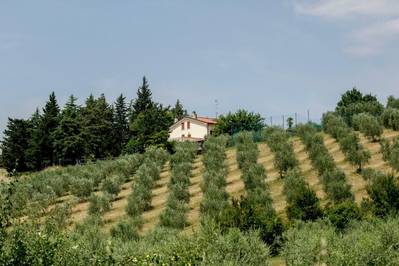 Il Vecchio Gelso - Agriturismo Rimini Montefiore Conca Villa Ngoại thất bức ảnh