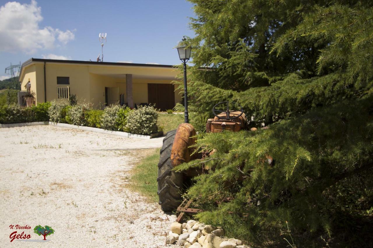 Il Vecchio Gelso - Agriturismo Rimini Montefiore Conca Villa Ngoại thất bức ảnh