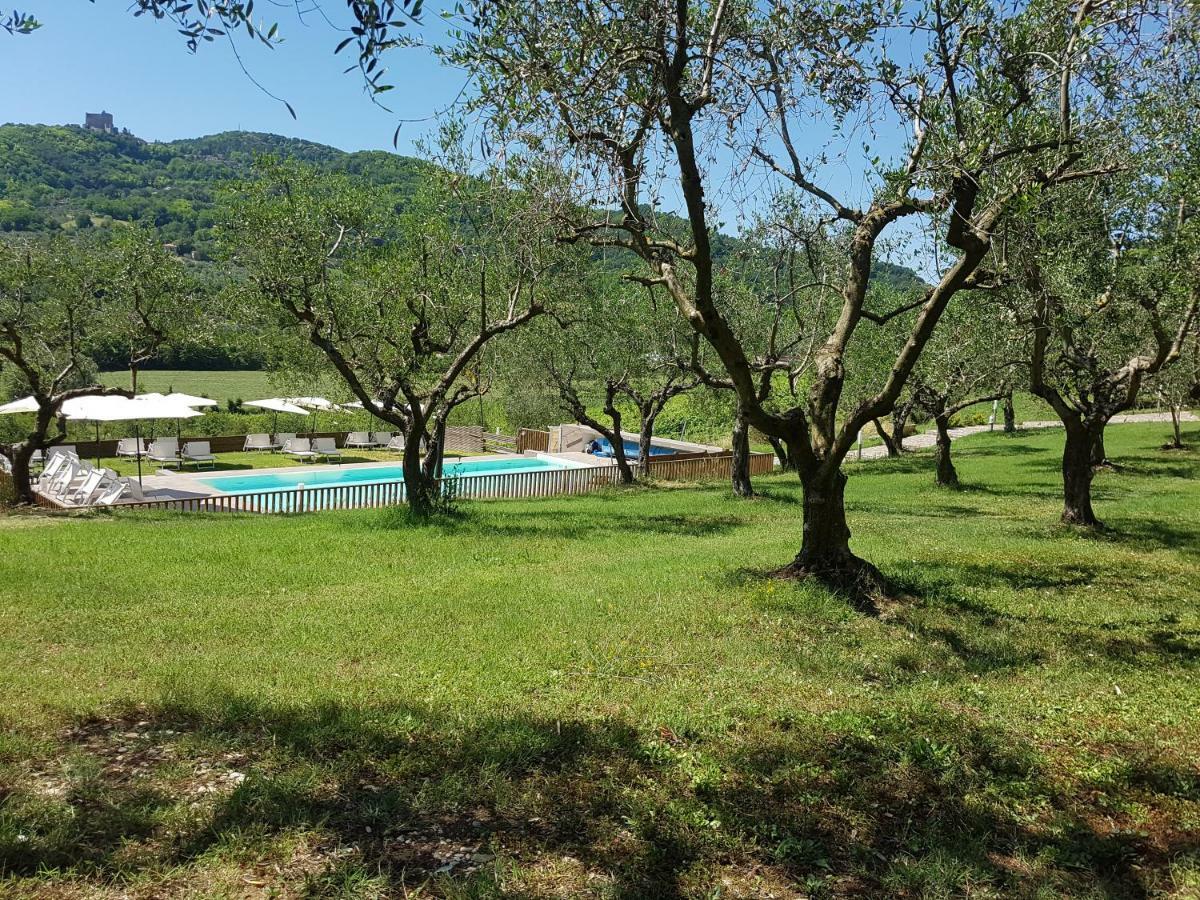 Il Vecchio Gelso - Agriturismo Rimini Montefiore Conca Villa Ngoại thất bức ảnh