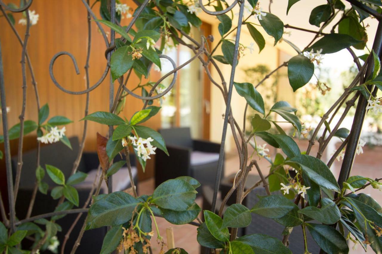 Il Vecchio Gelso - Agriturismo Rimini Montefiore Conca Villa Ngoại thất bức ảnh