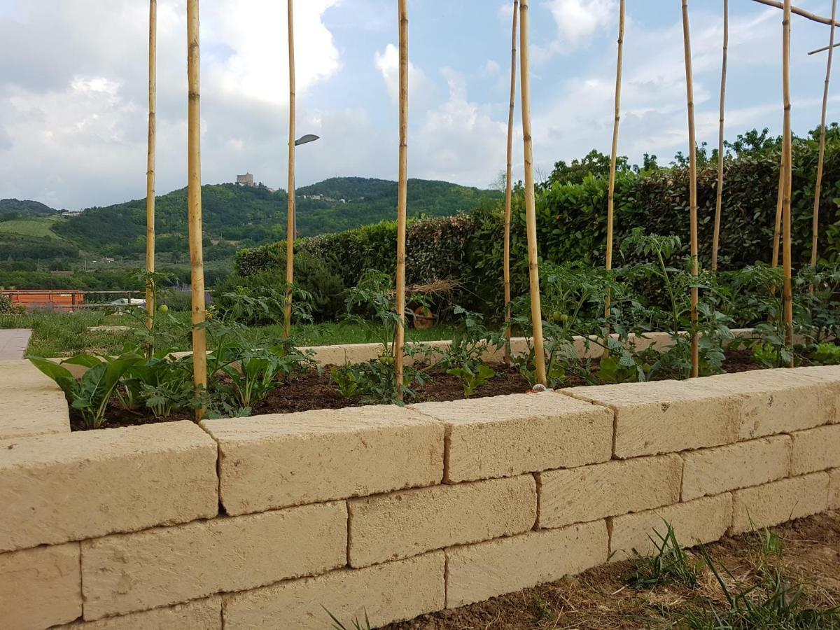 Il Vecchio Gelso - Agriturismo Rimini Montefiore Conca Villa Ngoại thất bức ảnh