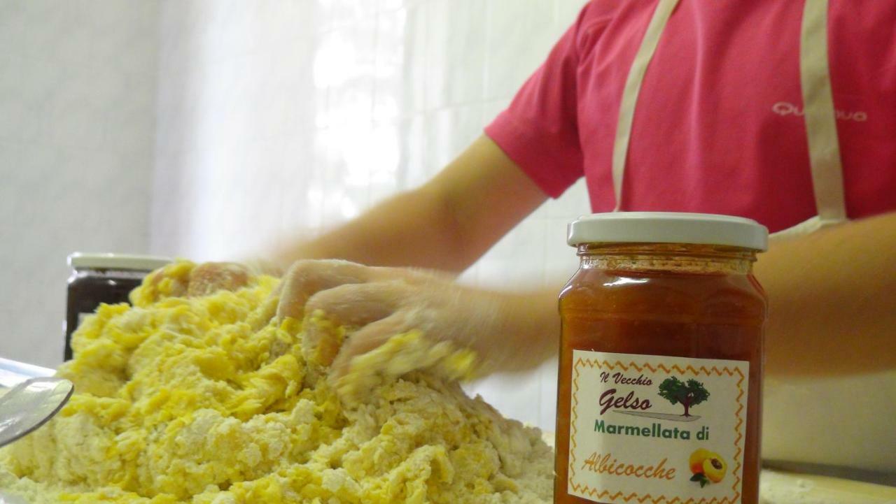 Il Vecchio Gelso - Agriturismo Rimini Montefiore Conca Villa Ngoại thất bức ảnh
